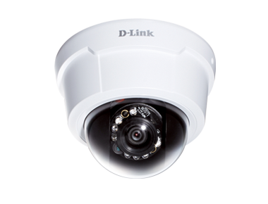 DCS-6113V
