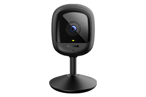 DCS-6100LHV2
